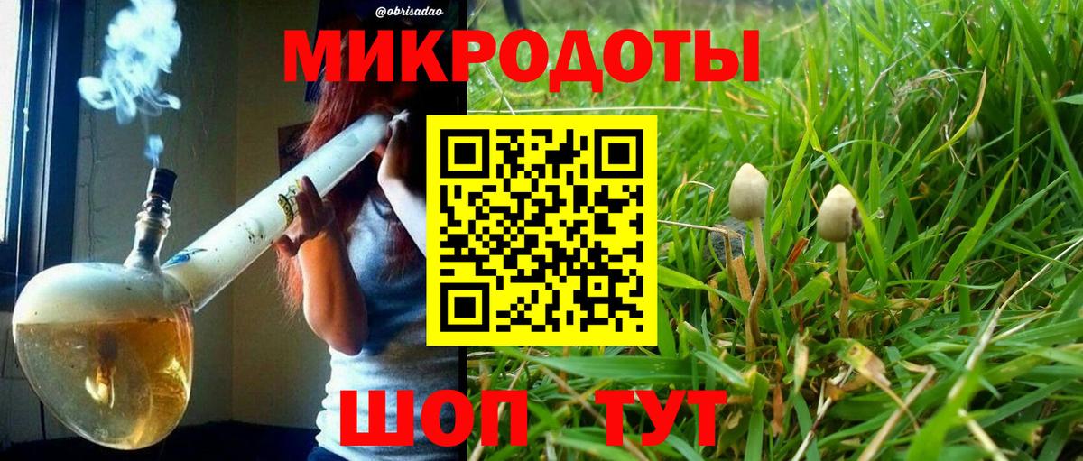Галлюциногенные грибы Psilocybine cubensis Среднеуральск