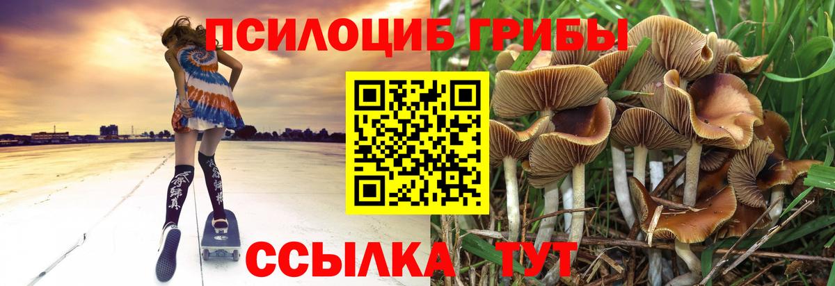 Псилоцибиновые грибы ЛСД  Вход с VPN  Среднеуральск 
